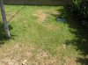 DSCN3371.jpg