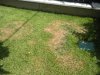 DSCN3372.jpg