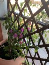IMG_5038.jpeg