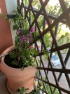 IMG_5041.jpeg