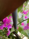IMG_5042.jpeg