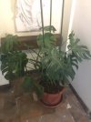 image1.jpeg