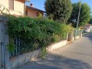 IMG_20230727_075830.jpg