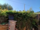 IMG_20230727_075727.jpg