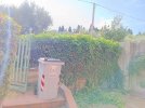 IMG_20230728_094229.jpg