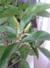 20130811_150115.jpg