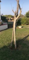 20230819_082533.jpg