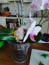 thumbnail (1).jpeg