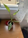 IMG_4853.jpeg
