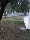 lato sud est panoramica 2.jpeg