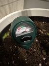 IMG_3604-min.jpeg