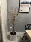 IMG_3599-min.jpeg