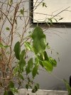IMG_3143-min.jpeg
