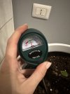 IMG_3601-min.jpeg