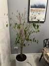 IMG_3142-min.jpeg