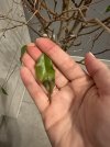 IMG_3596-min.jpeg