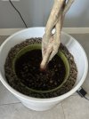 IMG_2066-min.jpeg