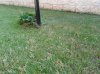 2013-08-18 09.27.26.jpg