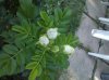 WP_000515.jpg