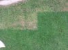 20130820_122454.jpg 20130820_122454.jpg