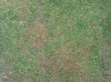 20130820_122538.jpg 20130820_122538.jpg