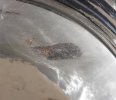 20231207_235708.jpg