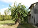 DSCN4511.JPG