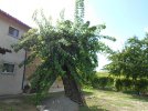 DSCN4507.JPG