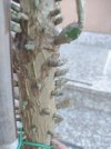foto1.jpg