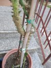 foto3.jpg