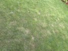 IMG_6563.jpeg