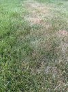 IMG_6561.jpeg