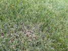 IMG_6560.jpeg