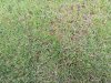 20130821_131105.jpg 20130821_131105.jpg