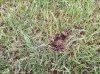 20130822_114000.jpg 20130822_114000.jpg