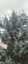 IMG-20241118-WA0009.jpg