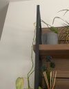 IMG_8617.jpeg