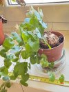IMG_8076.jpeg