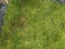 IMG_0779.jpeg