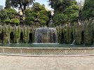 IMG_8479.jpeg