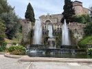 IMG_8475.jpeg