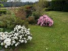 IMG_8467.jpeg