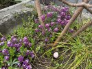 IMG_8469.jpeg