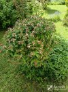 IMG_20250425_163220.jpg