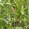 IMG_3470.jpeg
