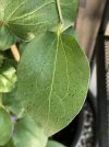 IMG_0855.jpeg