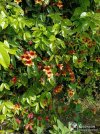 IMG_20250503_163018.jpg