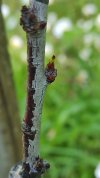 IMG_20250425_115919.jpg