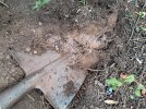 20250504_105644.jpg 20250504_105644.jpg