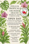 OpenDay.jpg